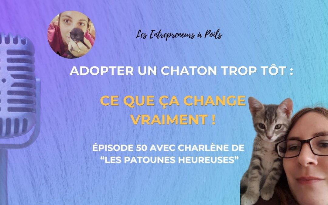 Adopter un chaton trop tôt : ce que ça change vraiment